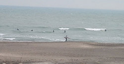 140506taito1.jpg