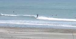140508eagle1.jpg
