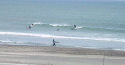 140508eagle2.jpg
