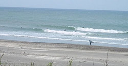140508eagle3.jpg