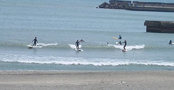 140508taito1.jpg