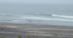 140513eagle1.jpg