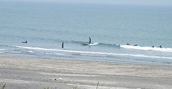 140520eagle1.jpg