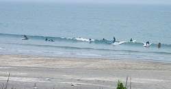 140520eagle2.jpg