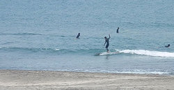140520eagle3.jpg