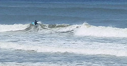140524eagle2.jpg