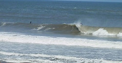 140524eagle3.jpg