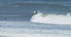 140524eagle4.jpg