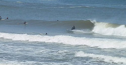 140524eagle5.jpg