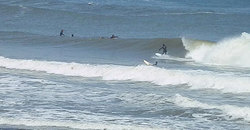 140524eagle6.jpg