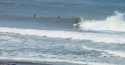 140524eagle7.jpg