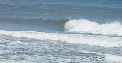 140524eagle8.jpg