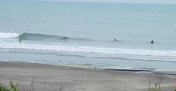 140527eagle1.jpg
