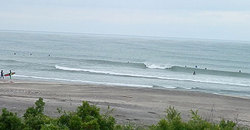 140527eagle3.jpg