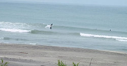 140527eagle4.jpg