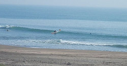 140529m-eagle-c.jpg