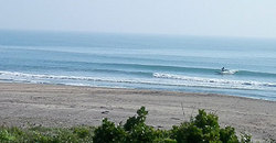 140529m-eagle-d.jpg