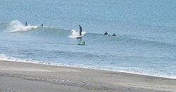 140529m-eagle2.jpg