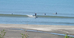 140529m-eagle3.jpg