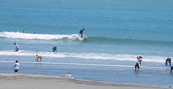 140529taito3.jpg