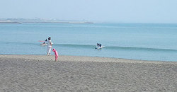 140601am-taito800.jpg