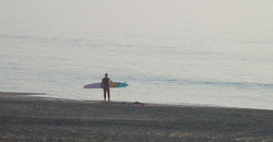 140602eagle1.jpg