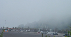 140602taito1.jpg