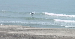 140609pm1534-eagle2.jpg