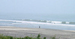 140610eagle2.jpg