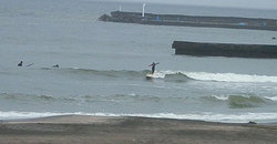 140611-1520taito3.jpg