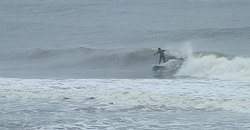 140612eagle1.jpg