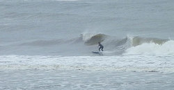 140612eagle2.jpg