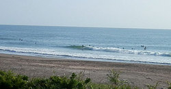 140615eagle638.jpg