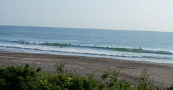 140615taito638-1.jpg