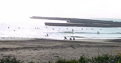 140615taito638.jpg