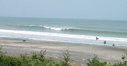 140621-1340eagle1.jpg