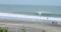 140621-1340eagle2.jpg