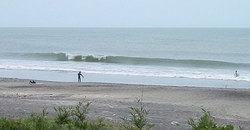140621-1340eagle3.jpg