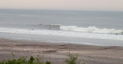 140621-630eagle2.jpg