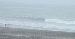 140622eagle1.jpg