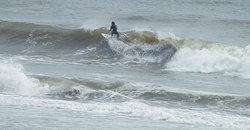 140629eagle4.jpg