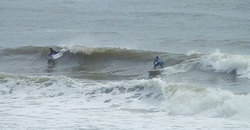 140629eagle5.jpg