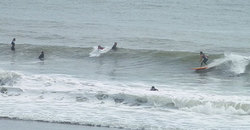 140629eagle7.jpg
