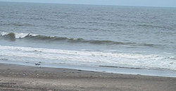 140630-1000eagle.jpg