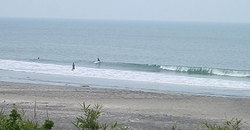 140703eagle1230-1.jpg