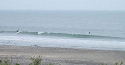 140703eagle1230-2.jpg
