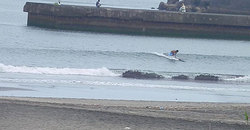 140703taito1230-1.jpg