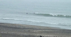 140707eagle1.jpg
