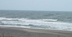 141111-1005-eagle.jpg