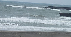 141111-1005-taito.jpg